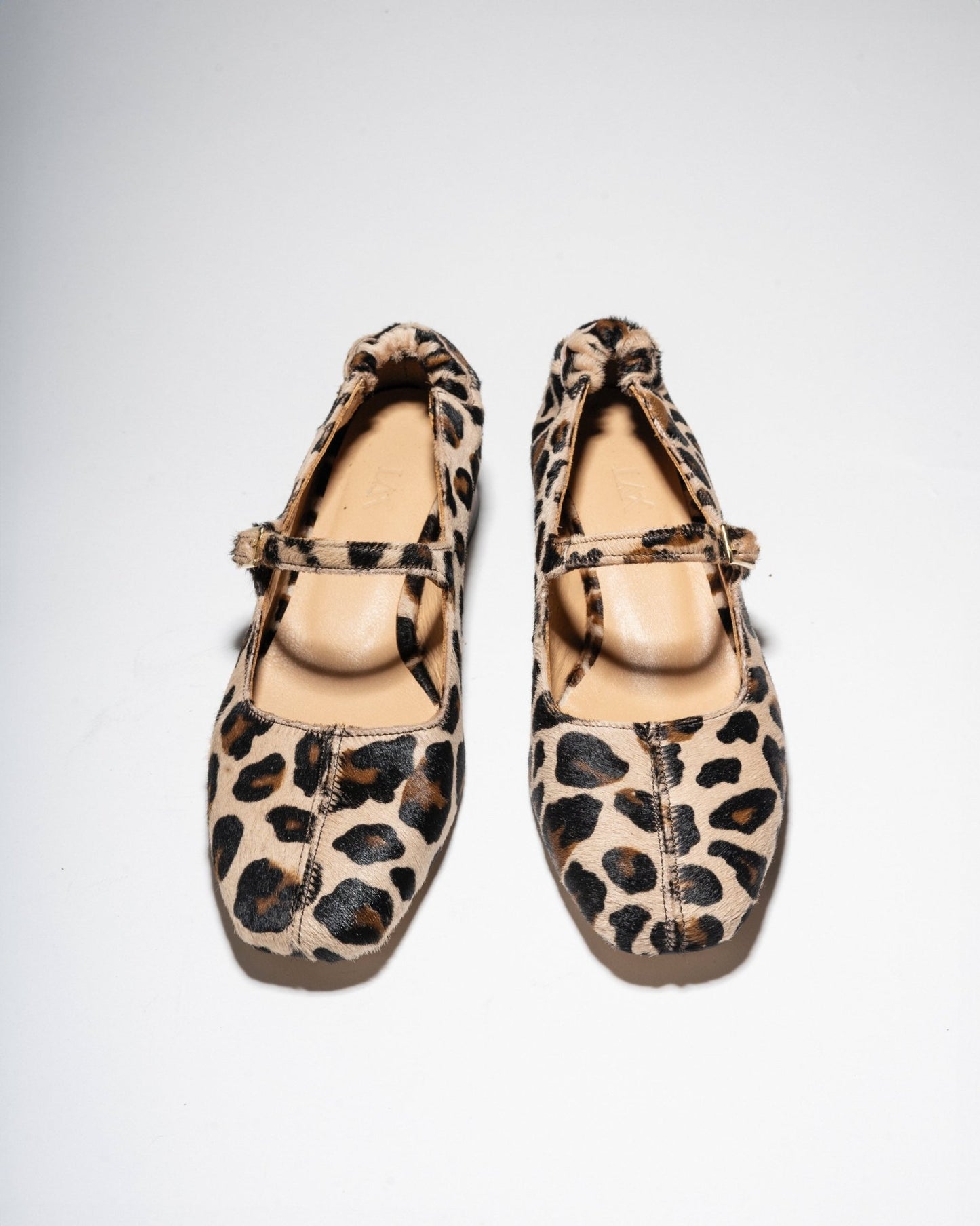 MAGGIE - JANES Leopard - LAX
