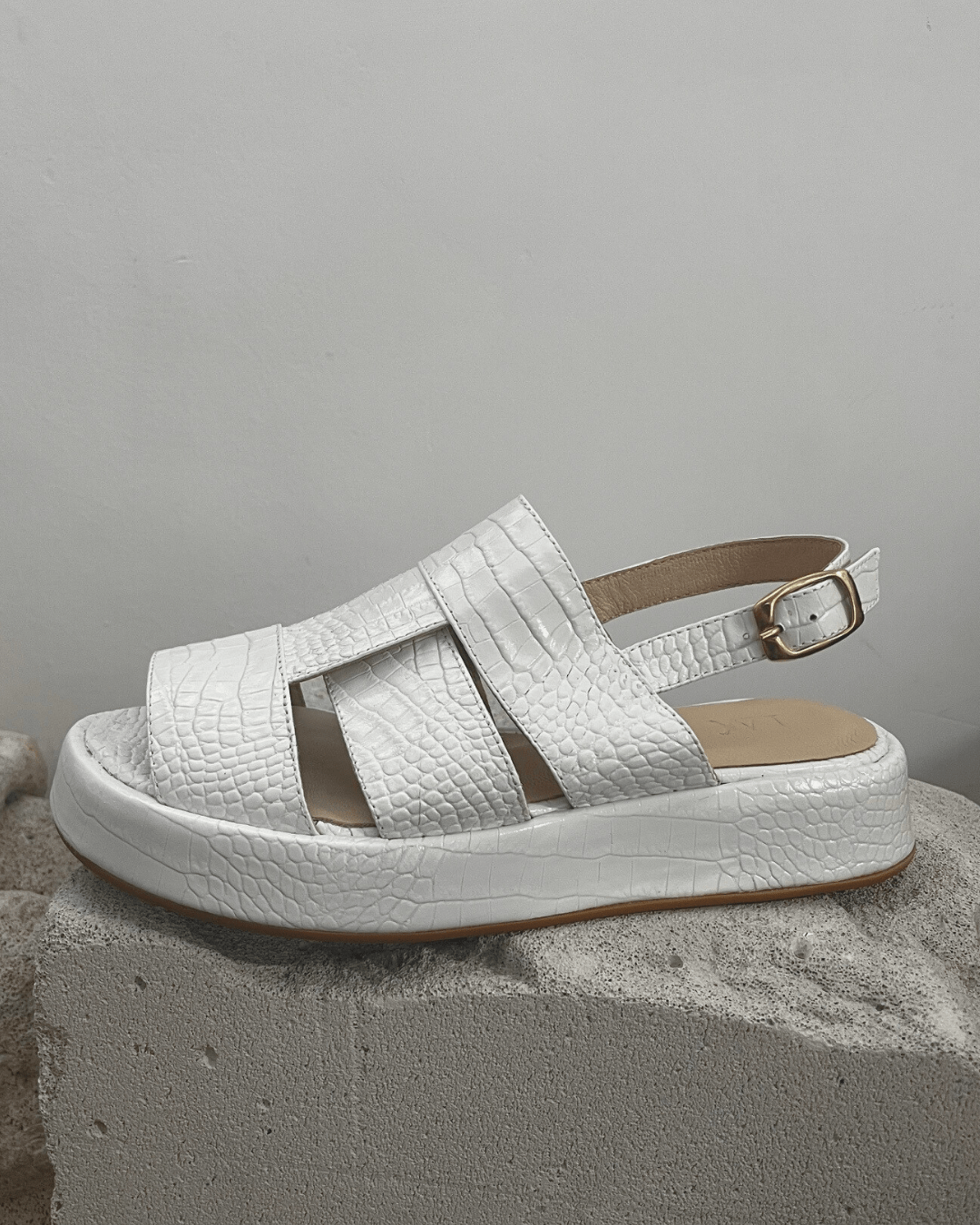 RED DOT - BAT - SHEVA White - LAX