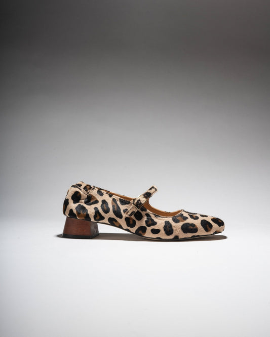 MAGGIE - JANES Leopard - LAX