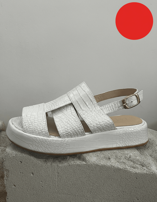 RED DOT - BAT - SHEVA White - LAX