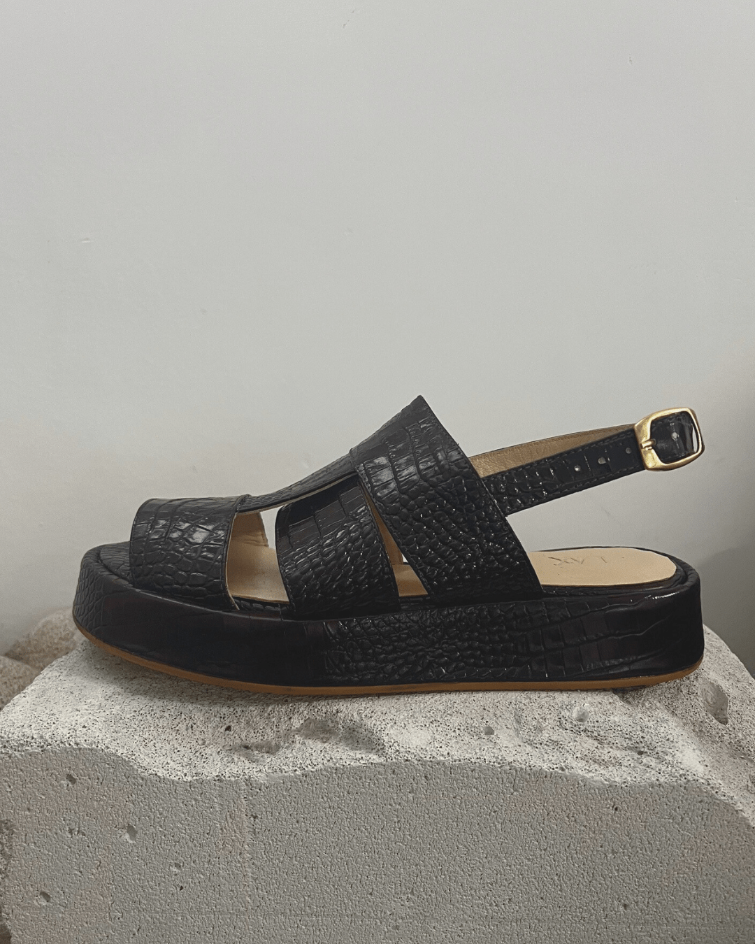 RED DOT - BAT - SHEVA Wine - LAX