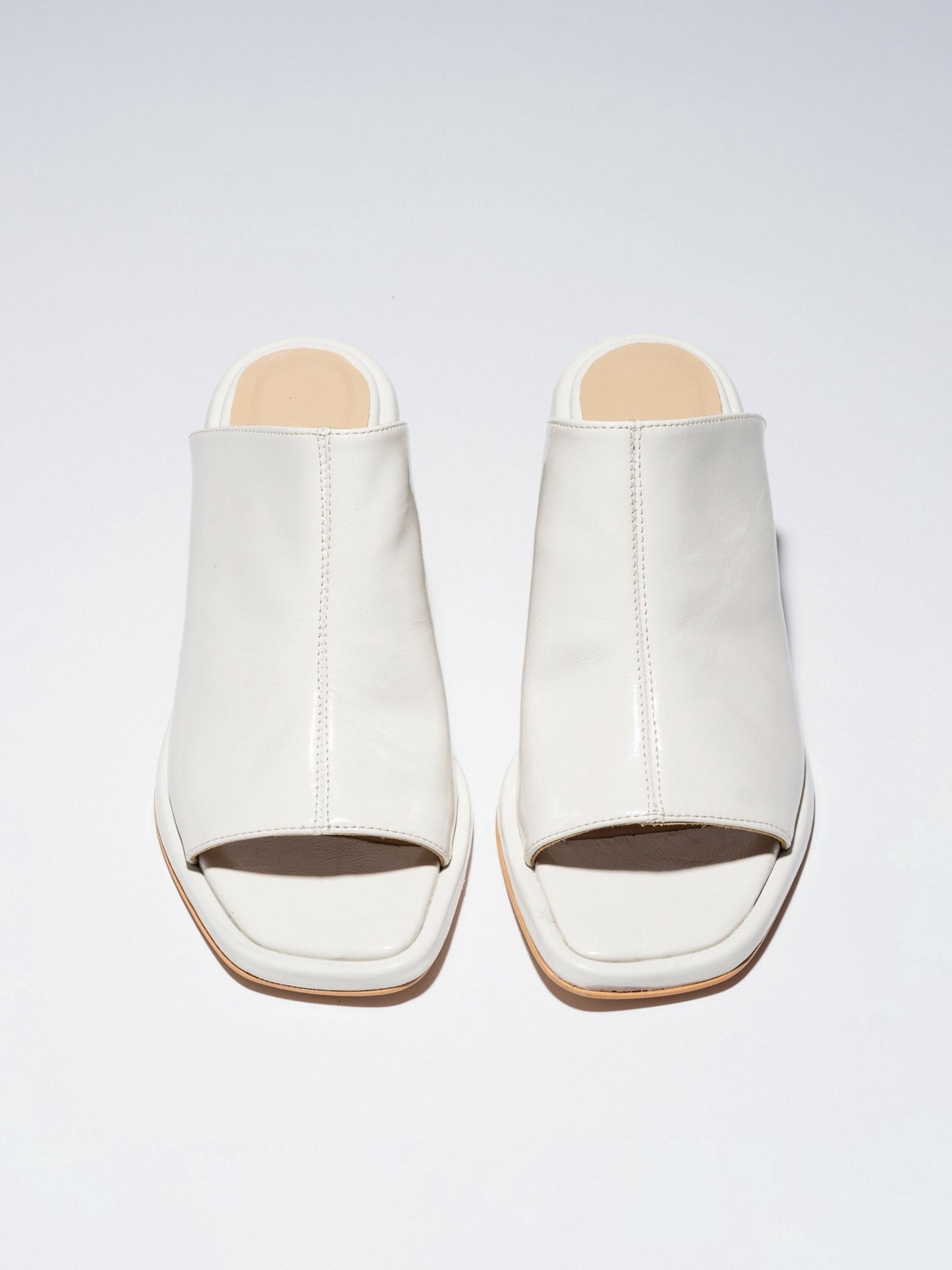 TERRA MULES MILK PATENT - LAX