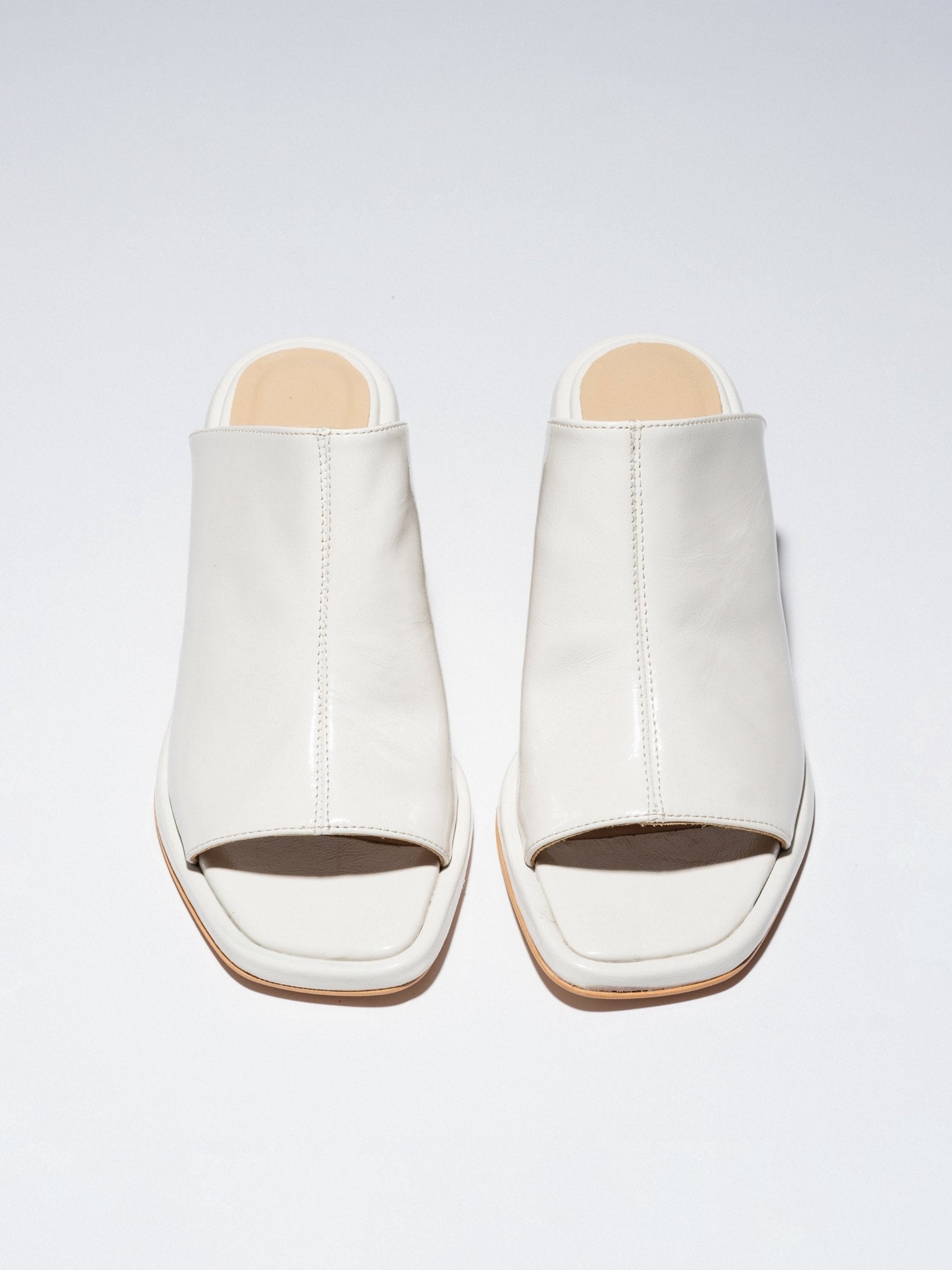 TERRA MULES MILK PATENT - LAX