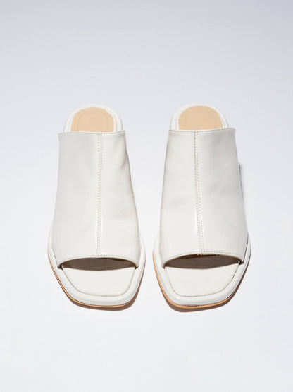 TERRA MULES MILK PATENT - LAX